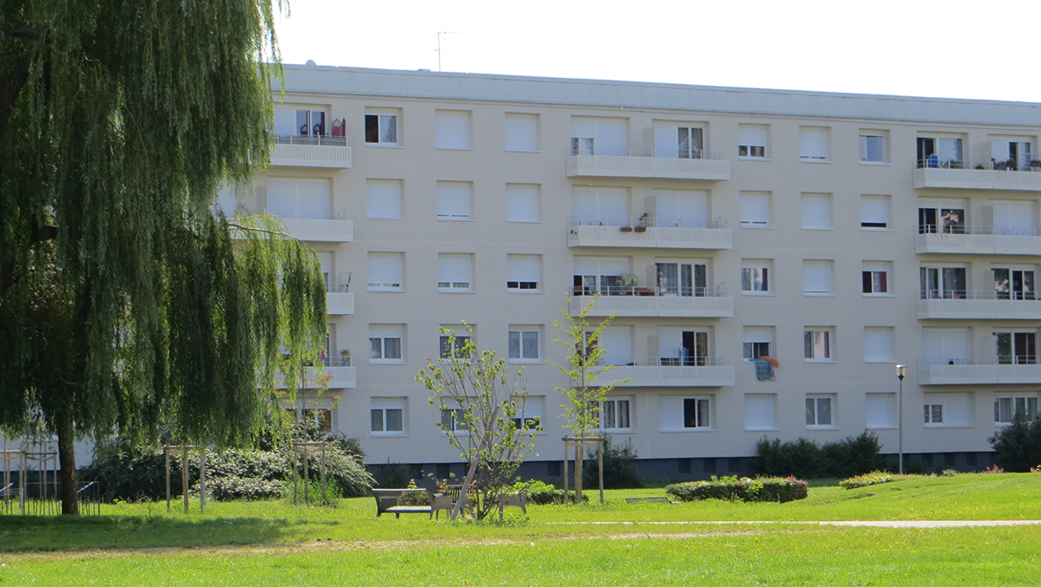 F3 les ailes 7.jpg